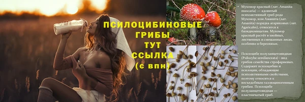скорость Алексеевка